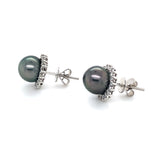 Grey Cultured Pearl & Diamond Platinum Cluster Stud