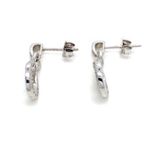 Earrings Diamond set
