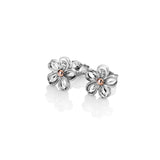 Hot Diamonds - Forget Me Not Earrings
